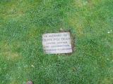 image of grave number 501065